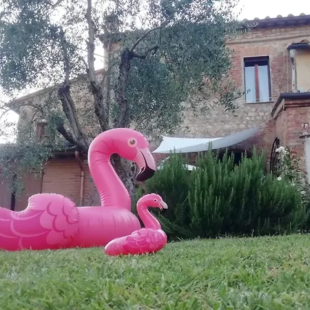 Agli Olivi Di Marciano Apartment