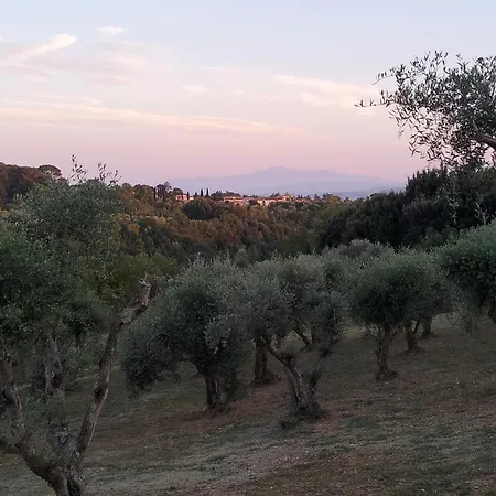 Agli Olivi Di Marciano Apartament