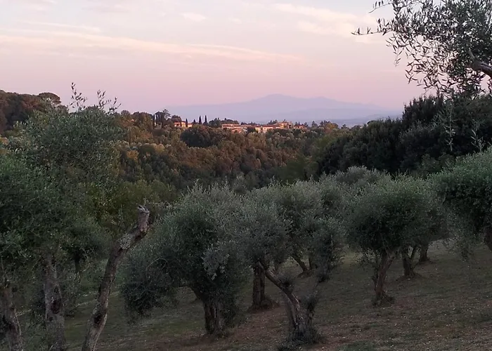 Agli Olivi Di Marciano Apartament