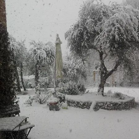 Daire Agli Olivi Di Marciano Siena
