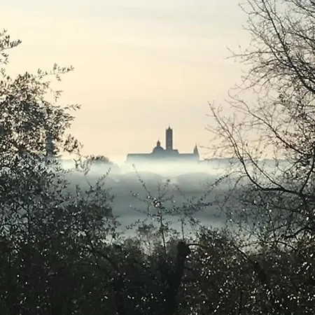Daire Agli Olivi Di Marciano Siena